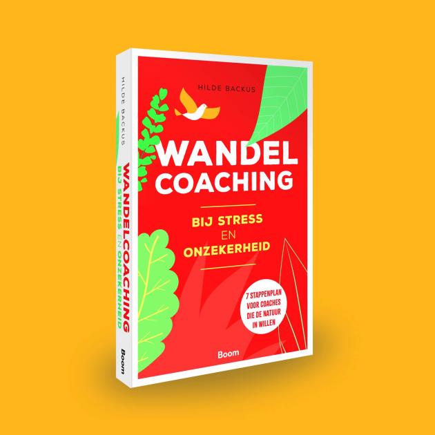 Wandelcoaching: nieuwe, populaire methode om af te rekenen met stress